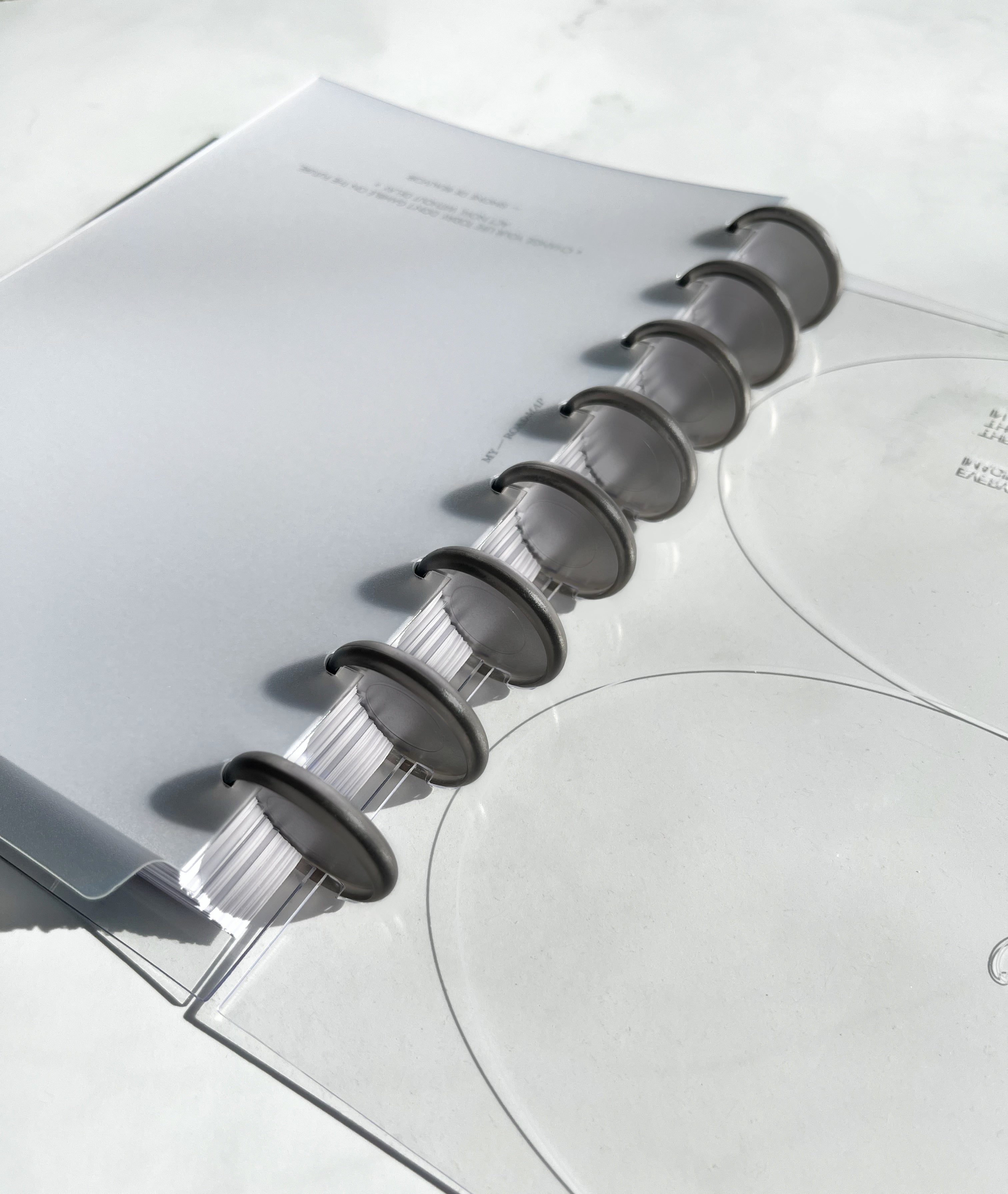 Discbound Discs 32mm schwarz transparent